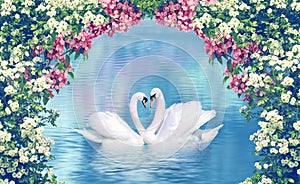 Graceful swans in love