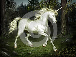 Agraciado unicornio en Bosque 