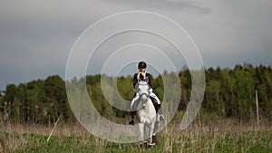 graceful white horse and young lady are walking at nature, professional jockey is training equine
