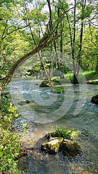 The Gradac river in Serbia is one of the cleanest rivets in Europe