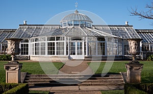 Grade 1 listed greenhouse housing historic camelia plants, at Chiswick House and Gardens in west London UK.