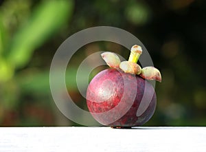 Grade A Mangosteen