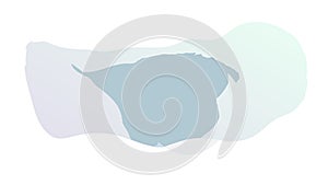 Gradient Abstract Blob Shape for Dynamic Web Elements, vector design Generative AI