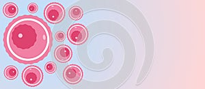 Gradient background with oocytes and copy space. Concept banner or template egg donation, female infertility treatment