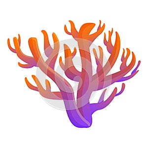 Gradient color coral icon, cartoon style photo