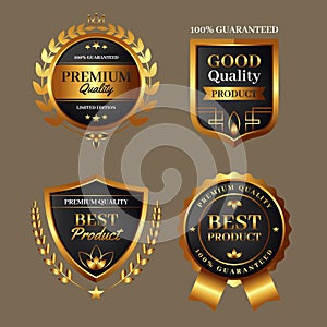 gradient golden luxury badges collection vector design illustration