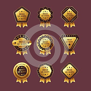 gradient golden luxury badges collection vector design illustration