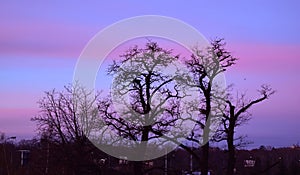 Gradient lighting in the evening photo