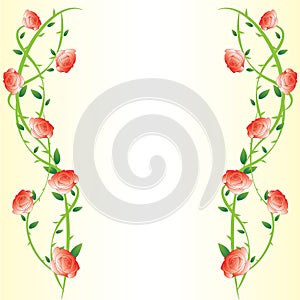 Gradient Rose Background Frame