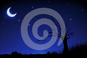 Gradient starry night background with crescent moon, tree silhouette and grass silhouette. Widescreen starry night background