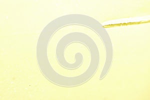 Gradient yellow color Abstract pastel illustration with gradient blur design background for texture