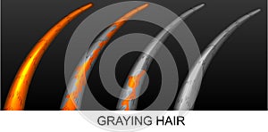 The gradual graying of hair