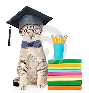 Graduated cat with books. isolated on white background
