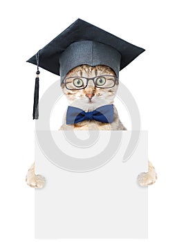 Graduated cat holding empty board. isolated on white background