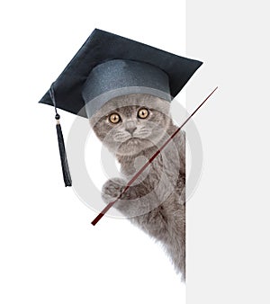 Graduated cat holding a pointing stick and points on empty banner. isolated on white background