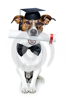 Graduated dog