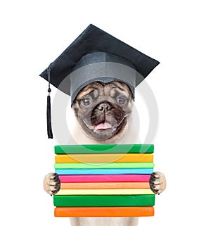 Graduated dog with books. isolated on white background