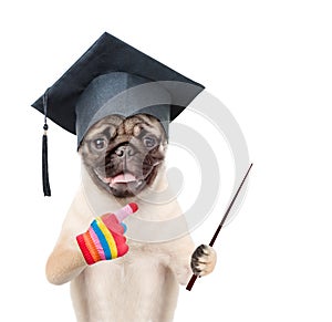 Graduated dog holding a pointing stick and points away. isolated on white background