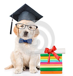 Graduated puppy with books and diploma. isolated on white background