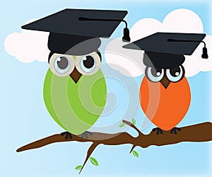 Graduating owl