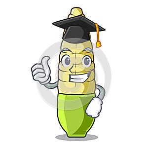 Graduation baby corn isolated with the mascot