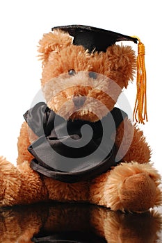 Graduation bear