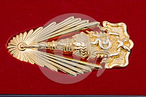 Graduation Brooch in university