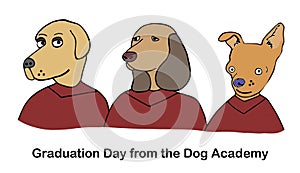 Graduation from the dog academy