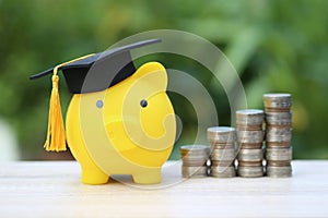 Graduation hat on golden piggy bank with stack of coins money on natural green background, Saving money for education concept