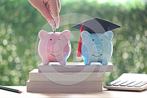 Graduation hat on piggy bank and woman hand putting a coin into piggy bank on nature green background, Saving money for education