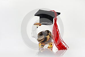 Graduation Hat With Transparent Piggy Bank. College education costs, tuition financial aid.