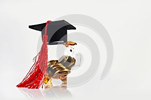 Graduation Hat With Transparent Piggy Bank. College education costs, tuition financial aid.