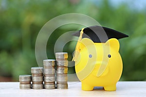 Graduation hat on yellow piggy bank with stack of coins money on nature green background, Saving money for education concept