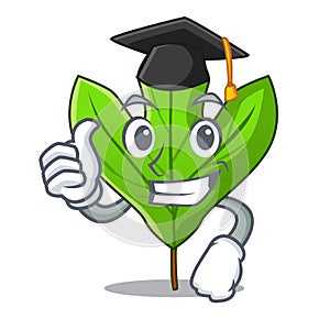 Graduation sassafras leaf in the cartoon stem