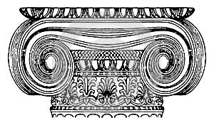 Graeco-Ionic Capital, design of a scroll rolled, vintage engraving