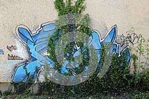 Graffit design5