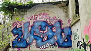 Graffiti on Abandoned Wall at Northern State Mental Hospital