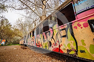 Graffiti-adorned train car amidst leafless trees, forgotten train on secluded tracks.