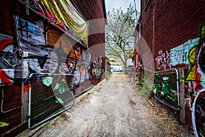 Graffiti in an alley in the Kensington Market neighborhood of To