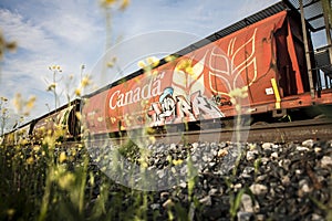 Rail Car Art in Warman, Saskatchewan, Canada