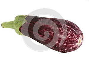 Graffiti Aubergine on White