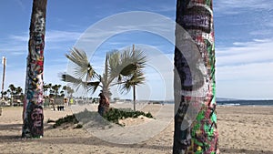 Graffiti Covered Palm Trees Frame Smaller Date Palm 4K 30 fps