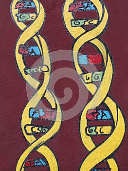 Graffiti of DNA strands on a red wall