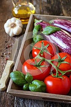 Graffiti eggplants, tomatoes in tray, garlic and olive oil