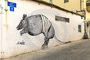 Graffiti on the streets of Tel Aviv.