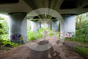 Graffiti under the Bridge