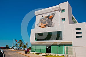 Graffiti on the wall of a building in the city Campeche, drawing a male head and a dog. San Francisco de Campeche, Mexico.