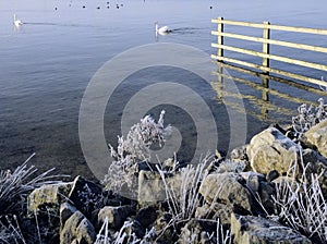 Grafham water