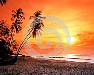 Grafton beach at sunset, Tobago.