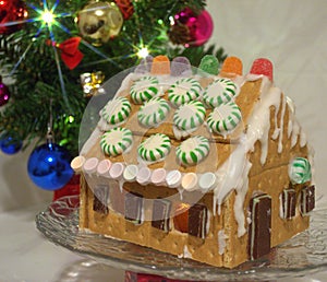 Graham Cracker House.  An alternative to gingerbread house